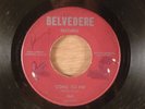 The Belvederes  Come To Me/Let Me Live  RARE  Private Garage 1967 Belvedere