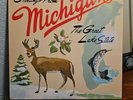 Sufjan Stevens Michigan State AKR BLUE GREEN COLOR 2LP Vinyl 2nd Pressing SEALED