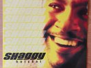 Shaggy - Hot Shot 2 x LP, original and only one vinyl issue, US 2000