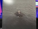 NF - HOPE - White Vinyl - 2LP by Nf (Record, 2023)