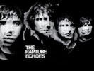 THE RAPTURE Echoes LP NEW VINYL DFA reissue