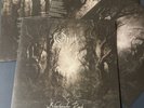 Opeth – Blackwater Park LP Vinyl NM