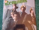 THE REMAINS   EPIC/ LN 24214. Original . SEALED / Psych Lp / Garage.