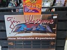 New Miserable Experience by Gin Blossoms (Record, 2017)