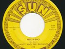 Garage 45 - RANDY & RADIANTS - Peek-A-Boo / Mountain’s High - SUN   60s Rock