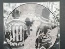 2007 The White Stripes “Icky Thump” 7” Promotional Picture Disc (Never Played)