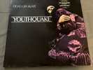 DEAD OR ALIVE Youthquake 1985 Vinyl Record LP