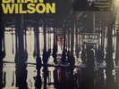 No Pier Pressure by Brian Wilson (Record, 2015)