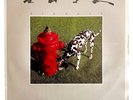 Rush Signals Progressive Rock Vintage Vinyl Record 1982 33 Mercury 12