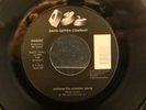 Weezer - Undone The Sweater Song / Holiday 45 MINT UNPLAYED 1994