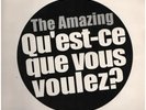 The Amazing QuEst-Ce Que Vous Voulez? Vinyl Single 12inch Hot Tracks