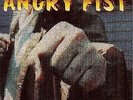 Hi-Standard - Angry Fist / VG / LP, Album