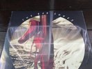 KATE BUSH, new & sealed vinyl album, THE RED SHOES.