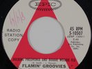 FLAMIN GROOVIES Rocking Pneumonia / The First One's Free RARE US promo 45 GARAGE