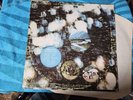 Pink Floyd ‎– Obscured By Clouds 1st Press VInyl LP ST-11078 VG+, VG