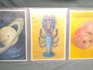 The B52s PICTURE DISC ROCK LOBSTER / PLANET CLAIRE FULL 3 SET COMPLETE / RARE