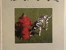 Signals by Rush (LP, 1982 Anthem, Canada, ANR-1-1038)