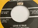 THE CHESTNUTS Love Is True/It’s You I Love DAVIS RECORDS 447. RARE DOO WOP  R&B
