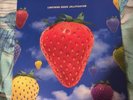 Jollification by The Lightning Seeds (Record, 2019)