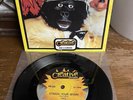 Rare FATZ Strain Your Brain BEACH BEAR Born to Run ROCK-AFIRE EXPLOSION Showbiz