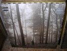 TAYLOR SWIFT-Folklore-OR.IN THE TREES 1st PRESSING FRANCE SEALED MINT 2-LP SET