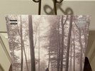 Taylor Swift Folklore 