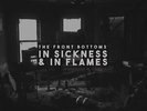 The Front Bottoms In Sickness & In Flames (Vinyl)