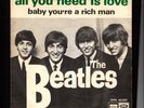 THE BEATLES: THE  