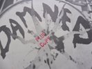 The Damned - New Rose 1976 UK 45 STIFF 1st PRESSING PROMO PLUG COPY