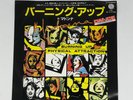 Japan Vinyl 7