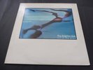 Dolphin Club - Out of the Blue 1986 UK LP MOVE WATERCOURSE 1st INDIE TWEE C.86