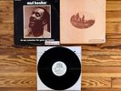 Do You Remember The Great Earl Hooker LP Vinyl US 1973 Bluesway WLP Promo VG+