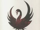 STORY OF THE YEAR - The Black Swan - Vinyl (LP)