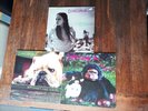 Dinosaur jr Vinyl, Green Mind LP plus 2 Maxi-Singles, gut bis sehr gut erhalten