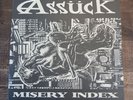 ASSUCK-MISERY INDEX -LP POLLUTE 34 1997 US VINYL EX/EX