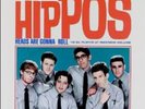 The Hippos - Heads are Gonna Roll LP - Reel Big Fish Less Than Jake Vinyl