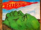 Burning Spear- Man In The Hills EX-NM Vinyl ORIGINAL GATEFOLD MANGO