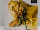 John Smith - The Fray - Double Vinyl 2LP Album Record 2021