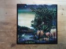 Fleetwood Mac Tango In The Night Near Mint Vinyl LP Record Album 925471 (D1)