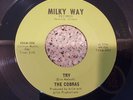 THE COBRAS Try / Good Bye 1966 GARAGE 7