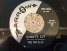 THE RECALLS Nobody's Guy / Reesie 1965 NM  ORIGINAL 7