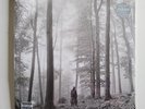 TAYLOR SWIFT 2 LP - Folklore 