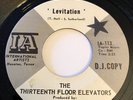 13TH FLOOR ELEVATORS PROMO 45 GARAGE PSYCH INTERNATIONAL ARTISTS LBL LEVITATION