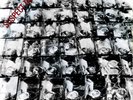 Stiff Little Fingers - Suspect Device - Vintage 1978 Press 7