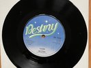 De-Lites - Lover / Do The Zombie - Destiny