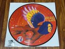 DAVID BOWIE THE MAN WHO SOLD THE WORLD LP PICTURE DISC RSD LIMITED EDITION NEW