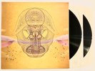 Devendra Banhart Vinyl What Will We Be 2XLP 180g 2009 Original Press WB 520962-1