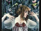 Lungs by Florence + the Machine (Record, 2010) NEW VINYL (LP)