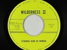 Hard Rock 45 - Wilderness II - Strange Kind Of Woman - Darkhorse - VG+ obscure
