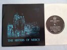 RARE GOTH 45 The Sisters Of Mercy Body And Soul/ Train WEA MR029 NM
